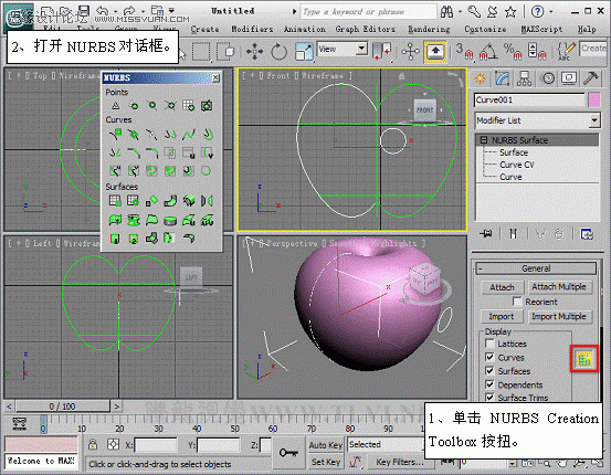 3D MAXʹNURBSo؝xģ