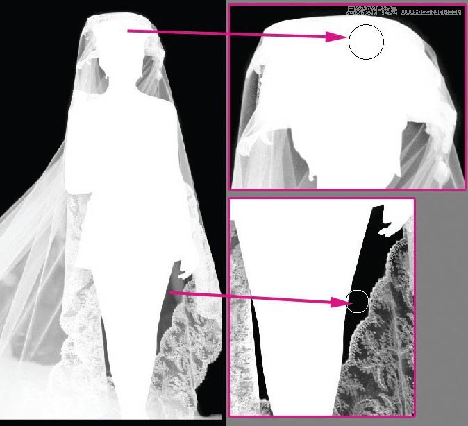 Photoshop鼆Ƭ