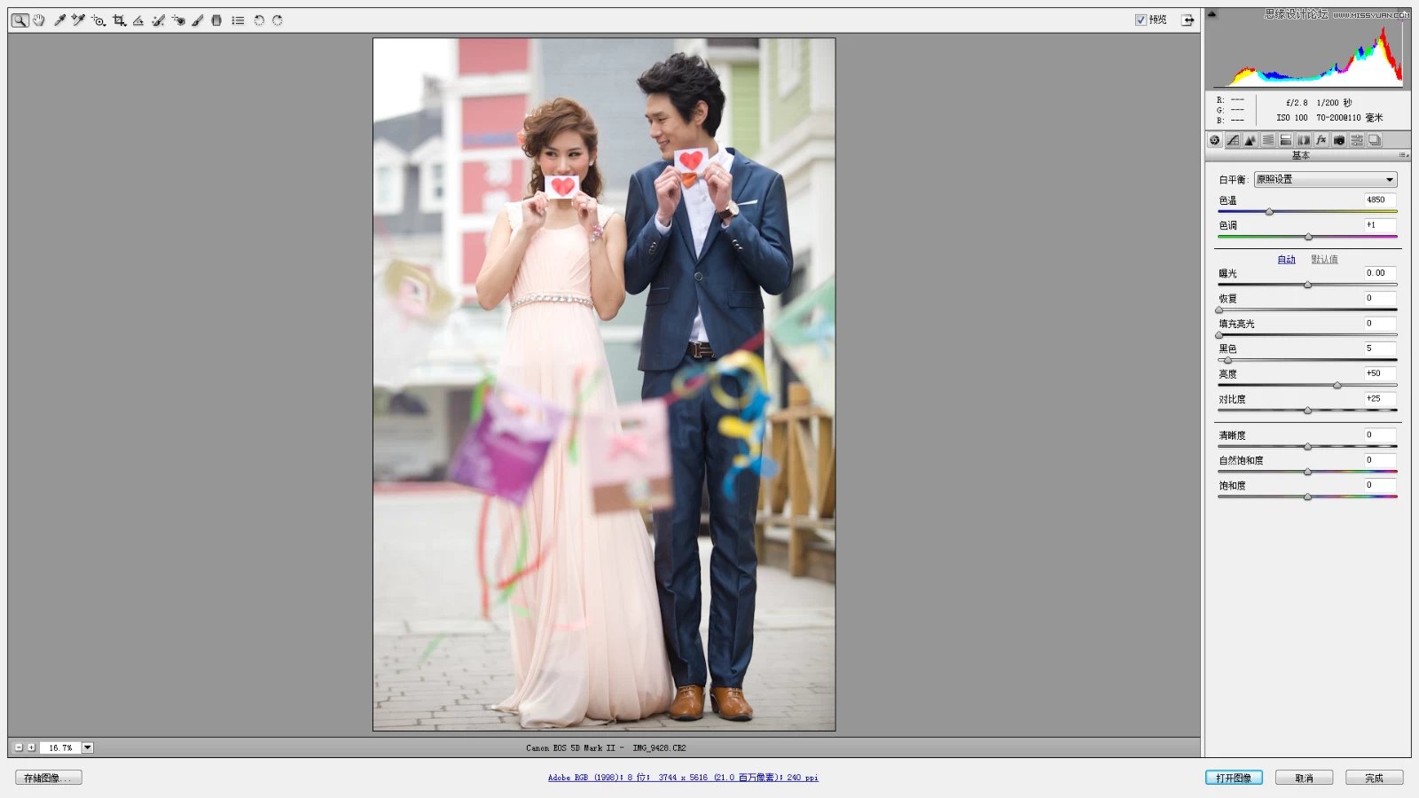 Photoshop調出婚紗照片韓式小清新效果圖