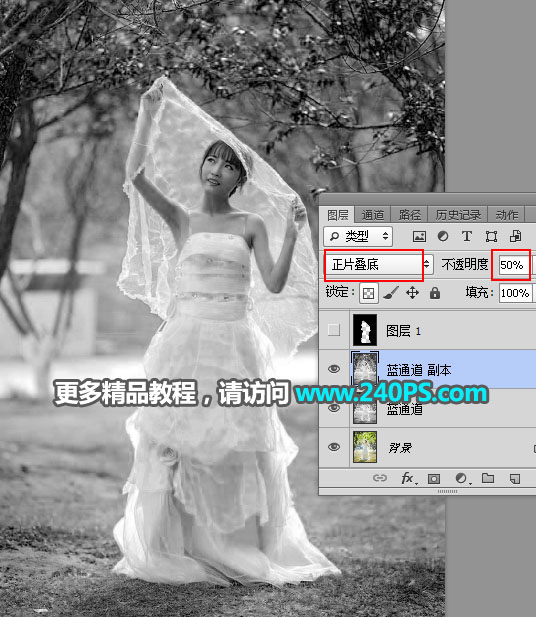 Photoshop͸鼆