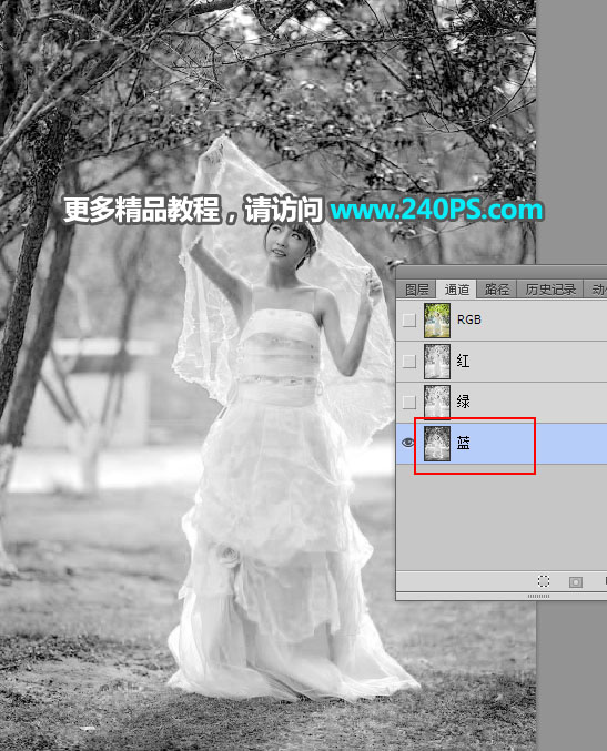 Photoshop͸鼆