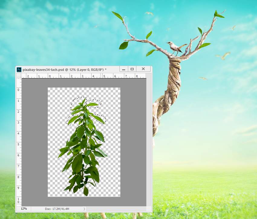 PhotoshopϳLLi¹Ӣ