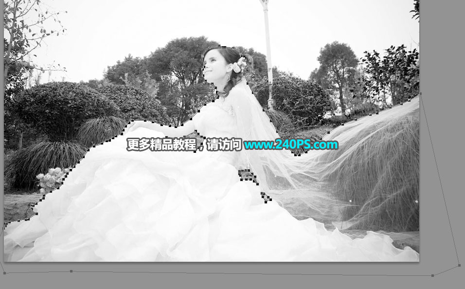 Photoshopsµ͸鼆