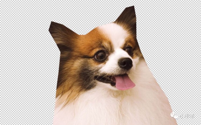 Photoshopʹͨߓɐ(i)Ĺ